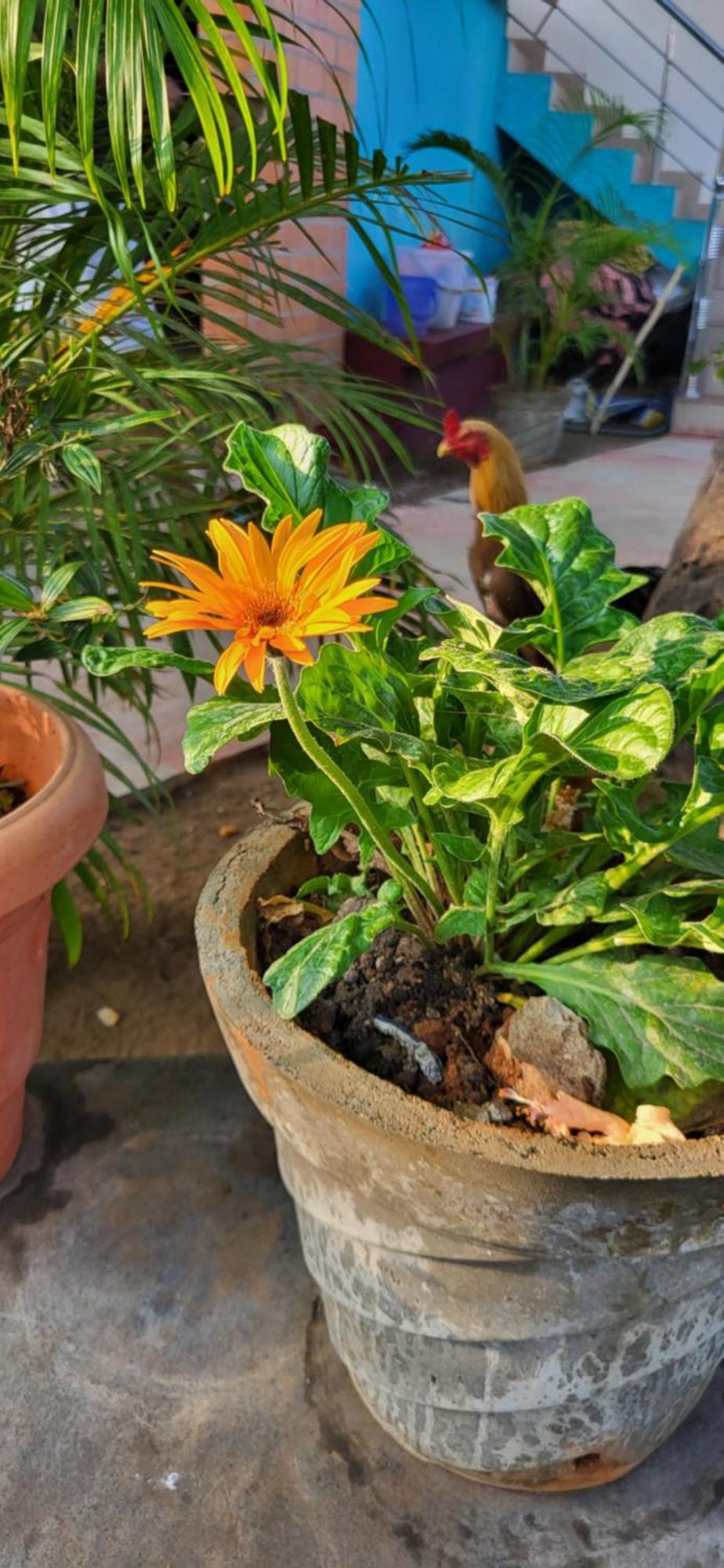 Victoria'S River View Resort Pondicherry Luaran gambar